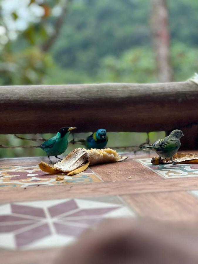 Chale E Suite Manaca Ubatuba Buitenkant foto